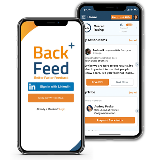 backfeed-app-employee-review-app